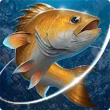 Kail Pancing APK v0.0.294